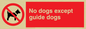 PV47: no dogs except guide dogs