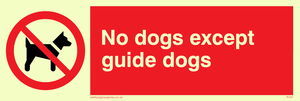 PV47: no dogs except guide dogs
