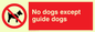 PV47: no dogs except guide dogs