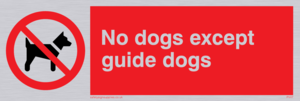 PV47: no dogs except guide dogs