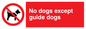 PV47: no dogs except guide dogs