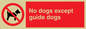 PV47: no dogs except guide dogs