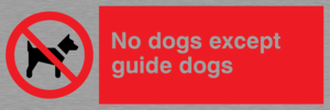 PV47: no dogs except guide dogs