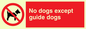 PV47: no dogs except guide dogs