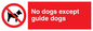 PV47: no dogs except guide dogs