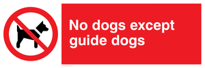PV47: no dogs except guide dogs