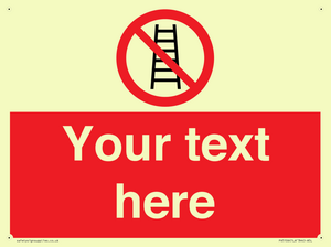 PV5106: Custom No Ladders Sign