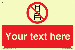 PV5106: Custom No Ladders Sign