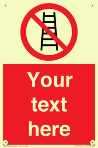 PV5106: Custom No Ladders Sign