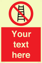 PV5106: Custom No Ladders Sign