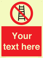 PV5106: Custom No Ladders Sign