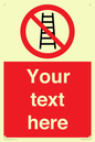 PV5106: Custom No Ladders Sign