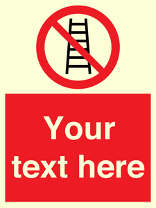 PV5106: Custom No Ladders Sign