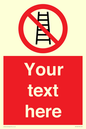PV5106: Custom No Ladders Sign