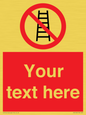 PV5106: Custom No Ladders Sign