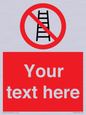 PV5106: Custom No Ladders Sign