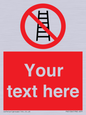 PV5106: Custom No Ladders Sign