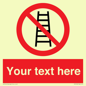 PV5106: Custom No Ladders Sign