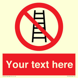 PV5106: Custom No Ladders Sign