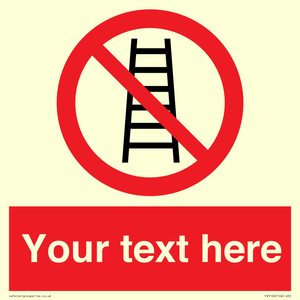 PV5106: Custom No Ladders Sign