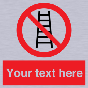 PV5106: Custom No Ladders Sign