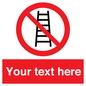 PV5106: Custom No Ladders Sign