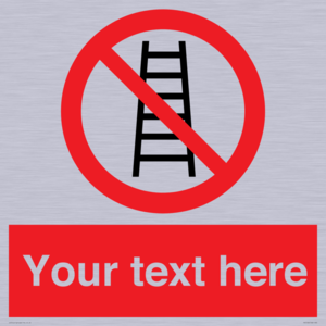 PV5106: Custom No Ladders Sign