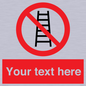 PV5106: Custom No Ladders Sign
