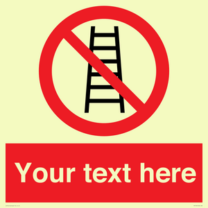 PV5106: Custom No Ladders Sign