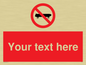 PV5139: Custom No Skateboarding Sign