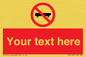 PV5139: Custom No Skateboarding Sign