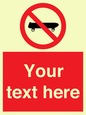 PV5139: Custom No Skateboarding Sign