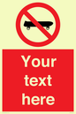 PV5139: Custom No Skateboarding Sign