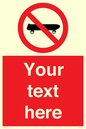 PV5139: Custom No Skateboarding Sign