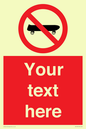 PV5139: Custom No Skateboarding Sign