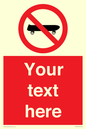 PV5139: Custom No Skateboarding Sign