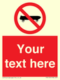 PV5139: Custom No Skateboarding Sign