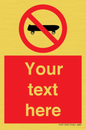 PV5139: Custom No Skateboarding Sign