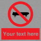 PV5139: Custom No Skateboarding Sign