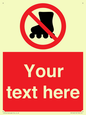 PV5140: Custom No Rollerblading Sign