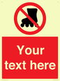 PV5140: Custom No Rollerblading Sign