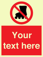 PV5140: Custom No Rollerblading Sign