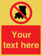 PV5140: Custom No Rollerblading Sign