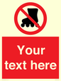PV5140: Custom No Rollerblading Sign