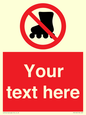 PV5140: Custom No Rollerblading Sign