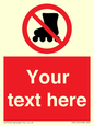 PV5140: Custom No Rollerblading Sign