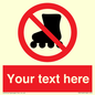 PV5140: Custom No Rollerblading Sign