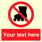 PV5140: Custom No Rollerblading Sign