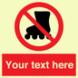 PV5140: Custom No Rollerblading Sign