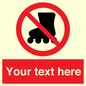 PV5140: Custom No Rollerblading Sign